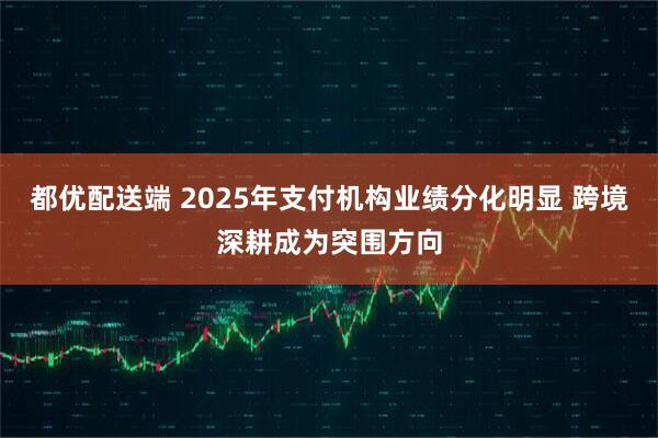 都优配送端 2025年支付机构业绩分化明显 跨境深耕成为突围方向
