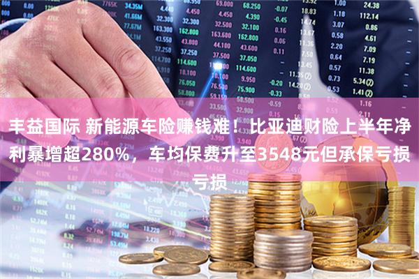 丰益国际 新能源车险赚钱难!比亚迪财险上半年净利暴增超280%,车均保费升至3548元但承保亏损