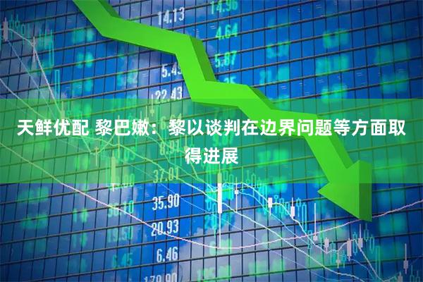 天鲜优配 黎巴嫩：黎以谈判在边界问题等方面取得进展
